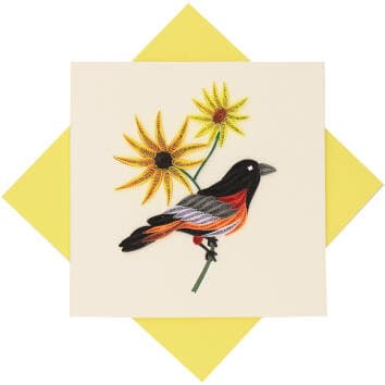 Baltimore Oriole