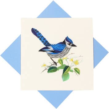 Blue Jay
