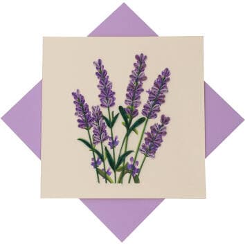 Lavender