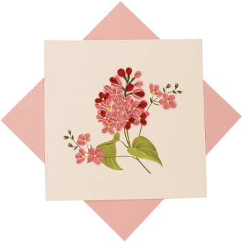 Pink Lilac