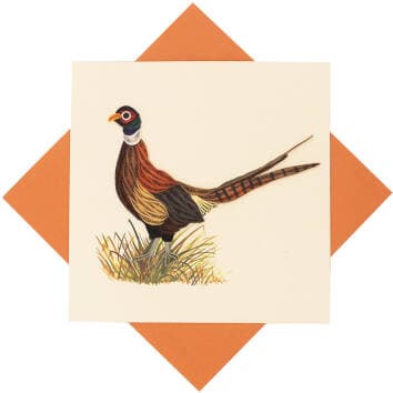 Ring-necked Pheasant