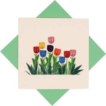 Tulip