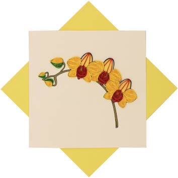 Yellow Orchid